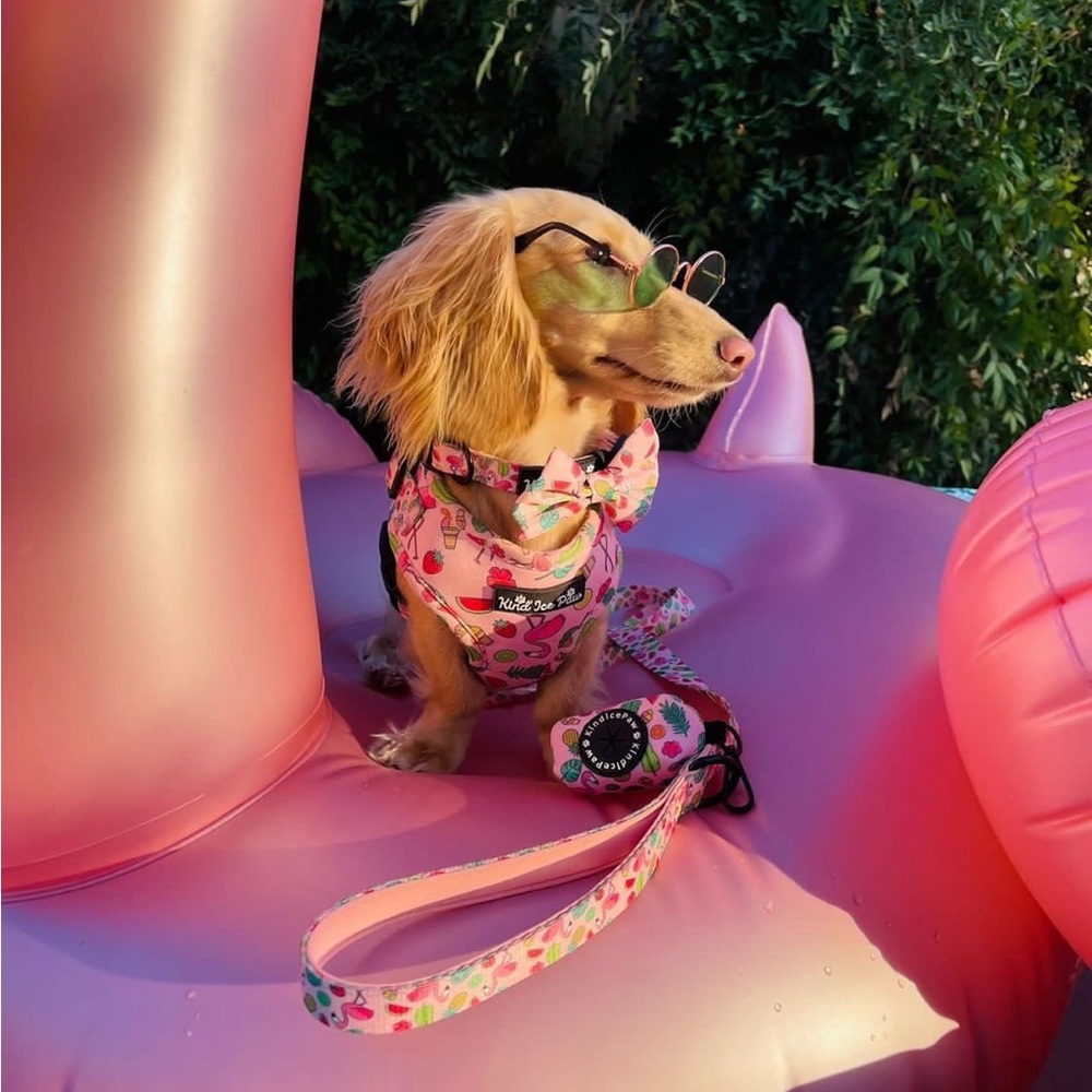 💖 NEW Coquette Pink Dog Harness | XS | Trendy & Comfy! - Picture 4 of 8